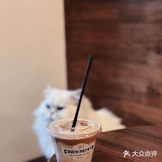 COUCH POTATO cafe(皮市街小店)