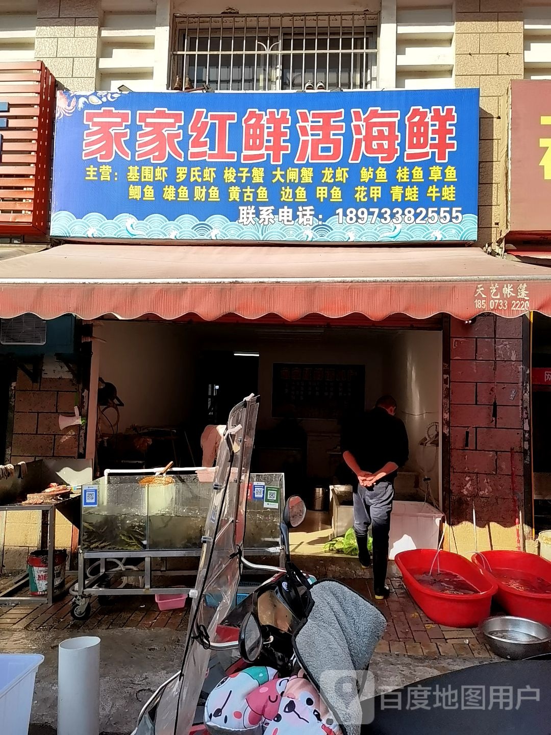 家家红鲜活孩鲜
