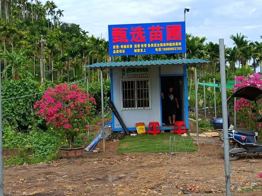 甄选苗圃