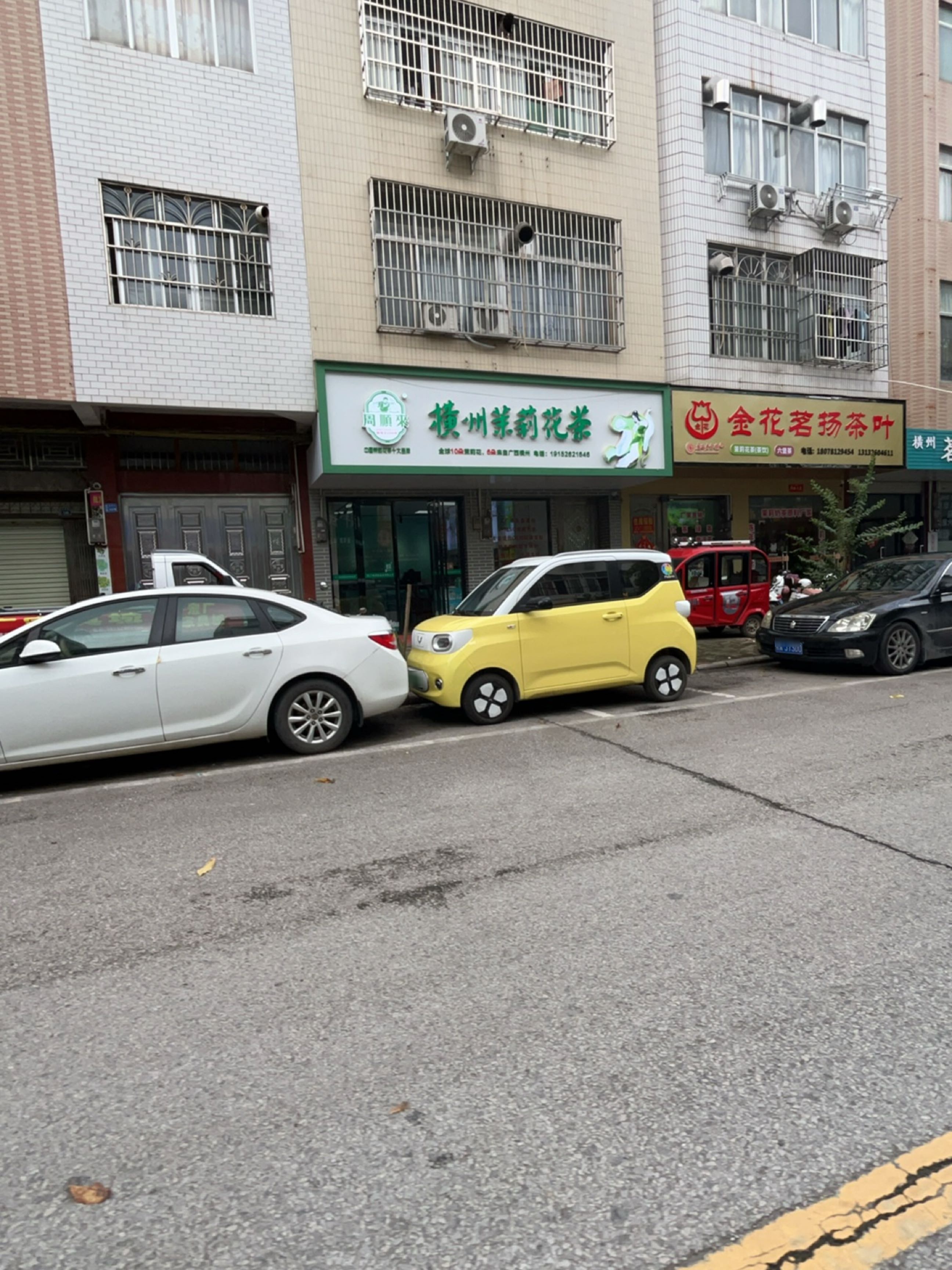 周顺来横州茉莉花茶