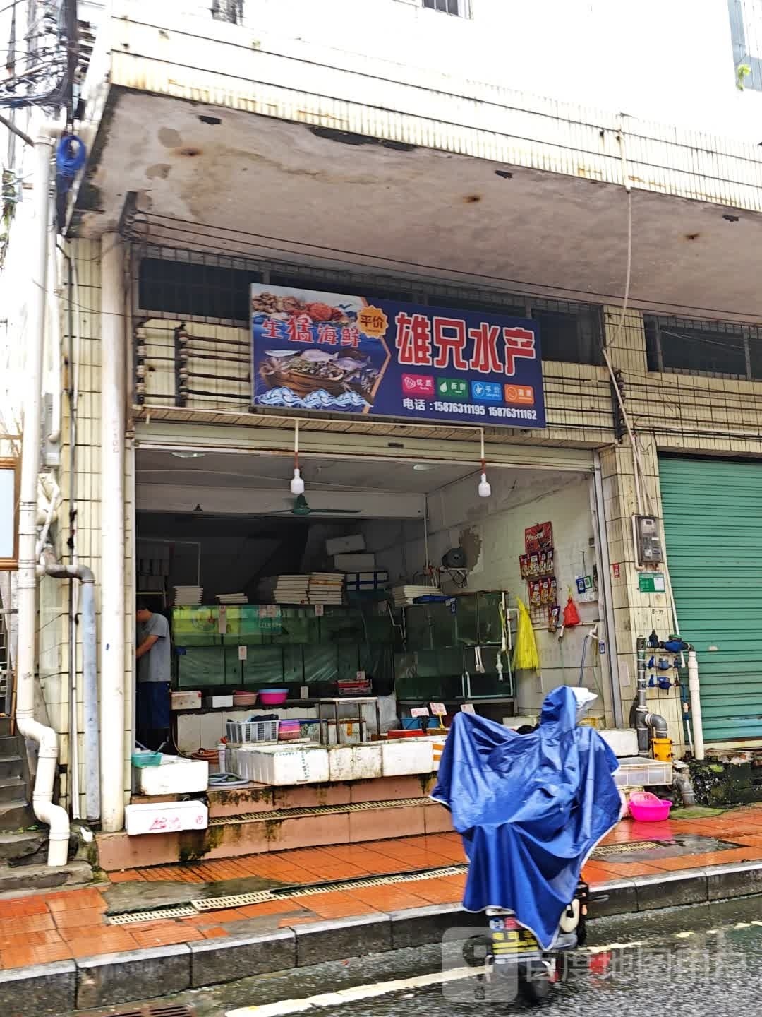 验兄期雄水产