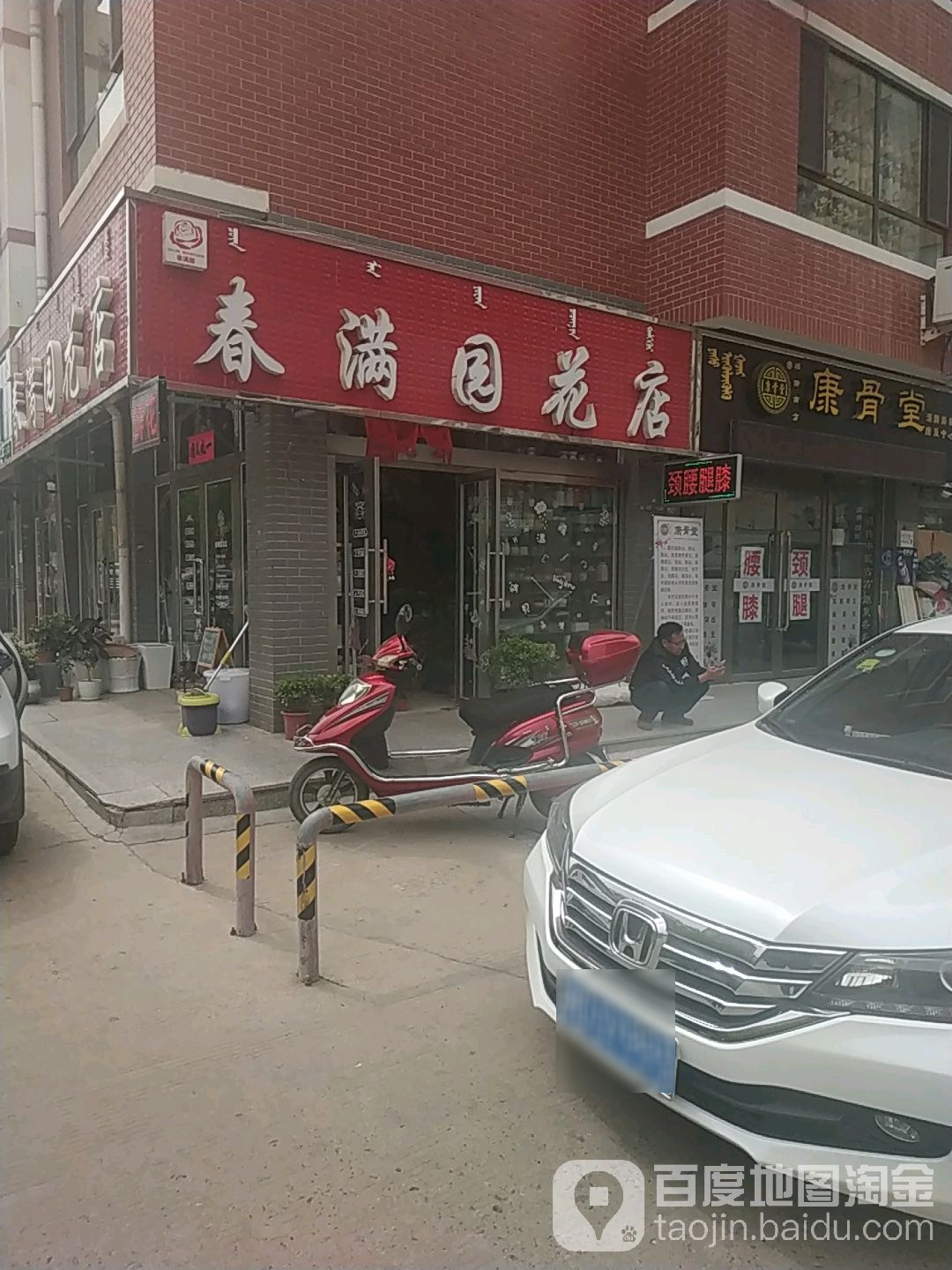 春满园花点