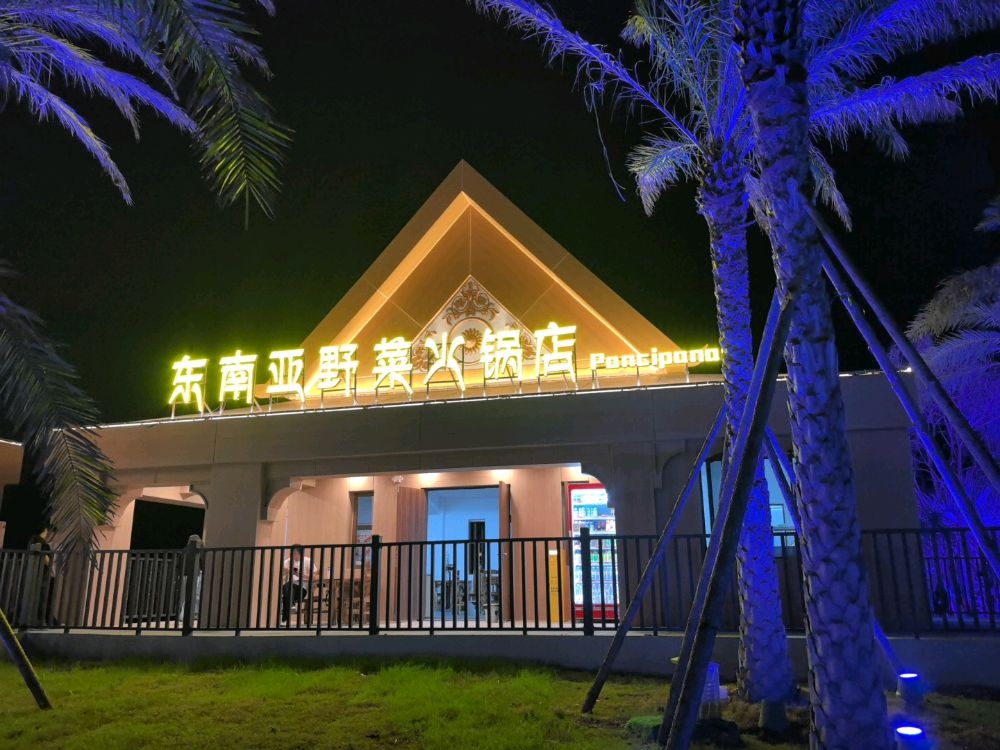 东南亚野菜火锅