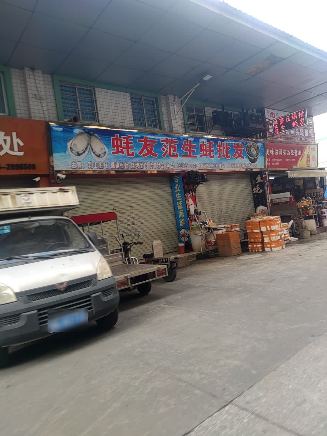 蚝友范生蚝批发