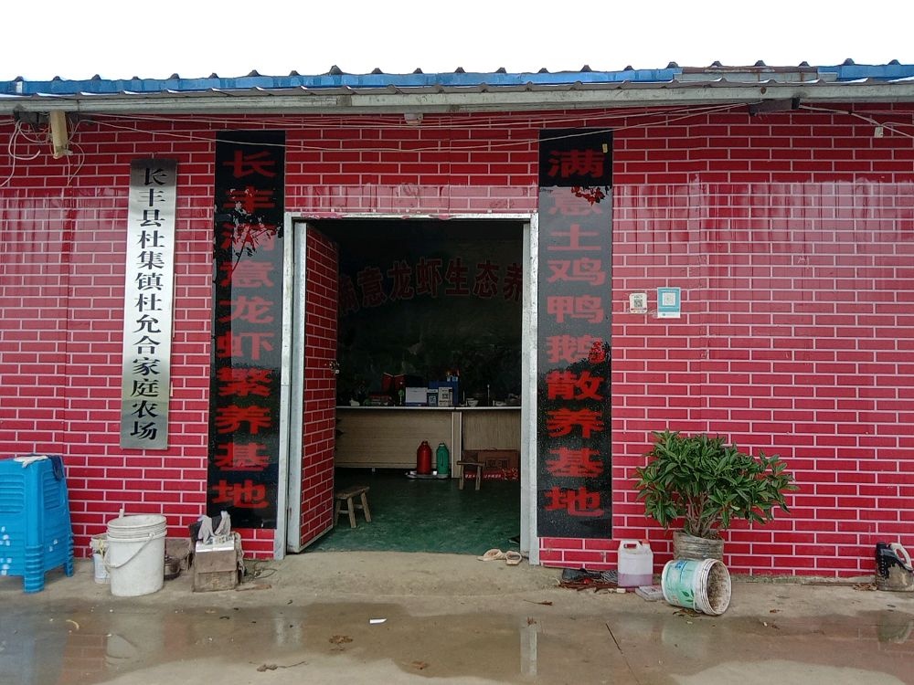 长丰满意龙虾繁养基地