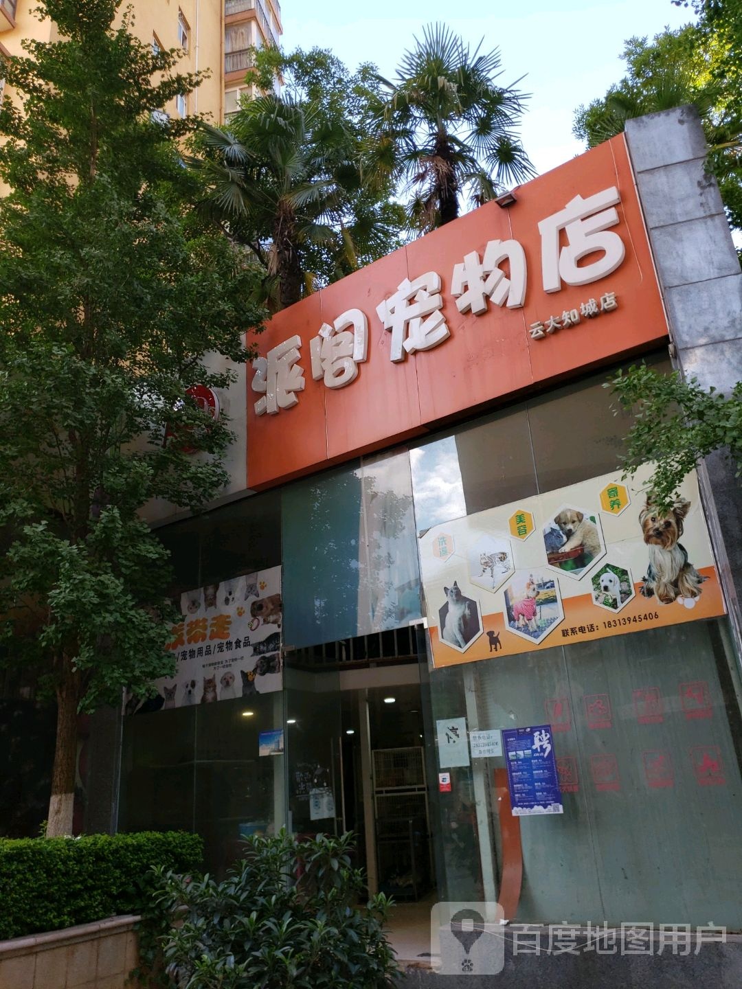 派阁宠物店