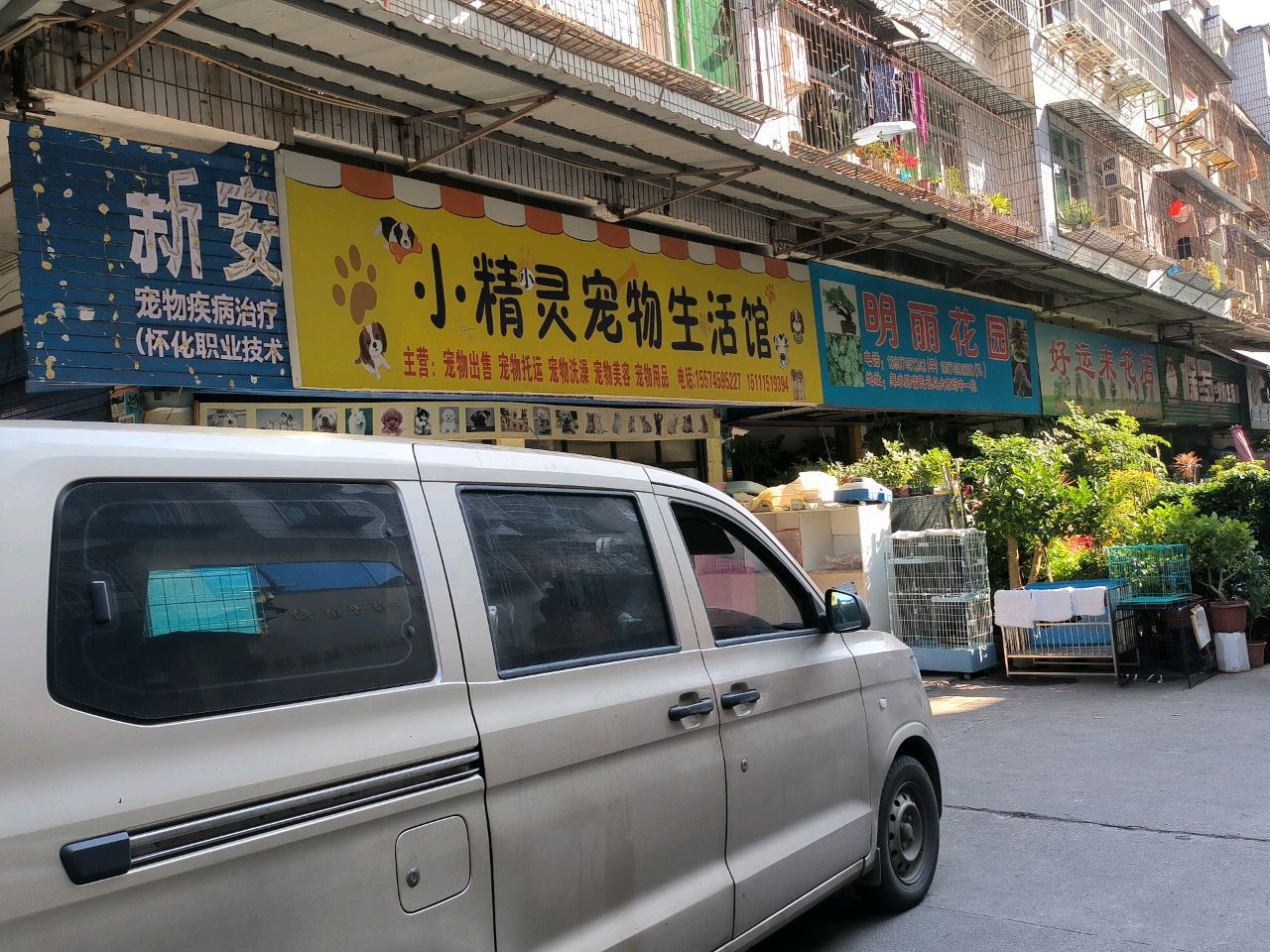 明丽花园