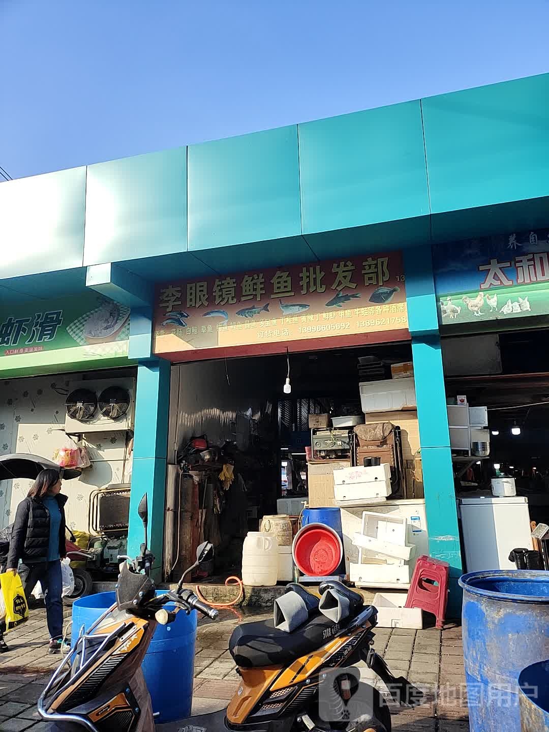 李眼镜鲜鱼批fa部
