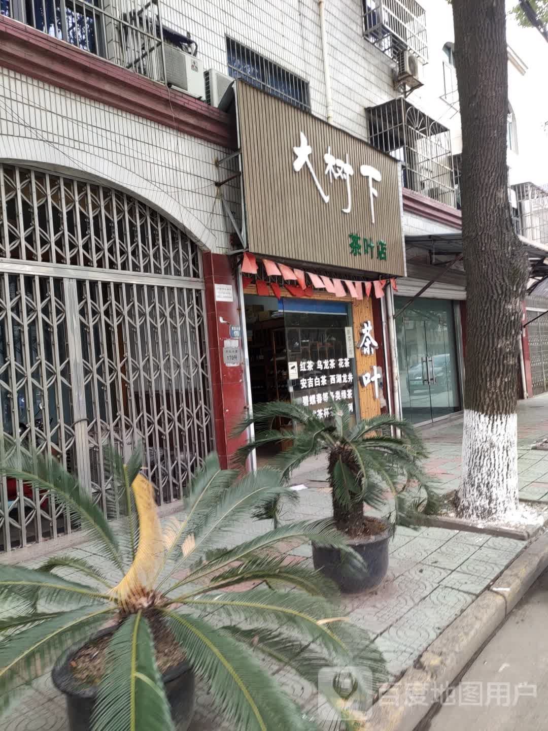 大树下茶叶店