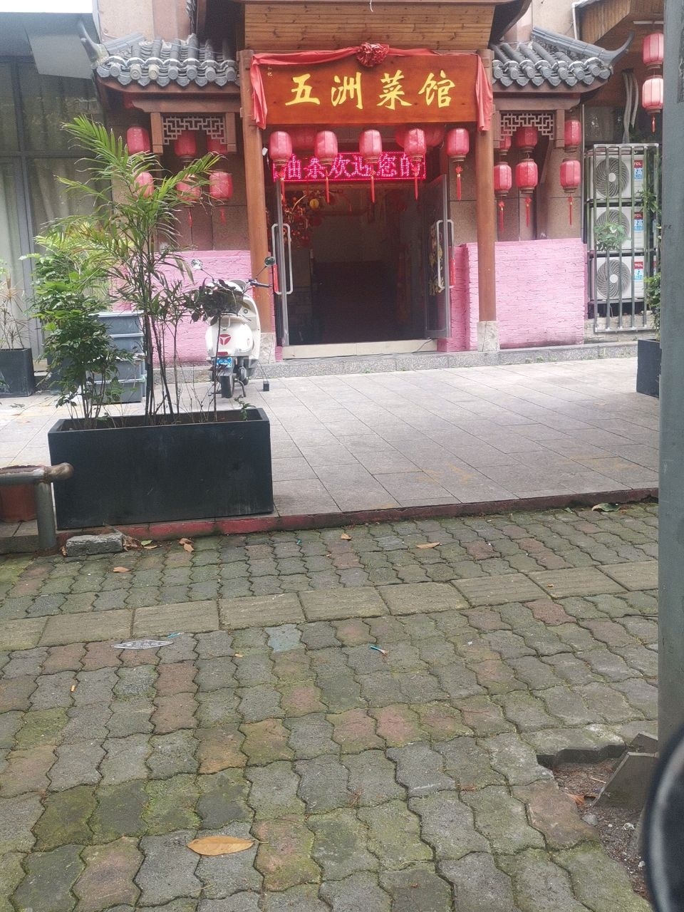 五洲菜馆环境