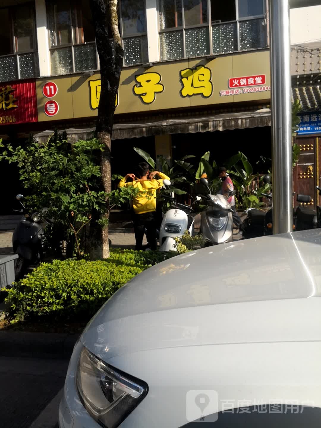 11号园子鶏