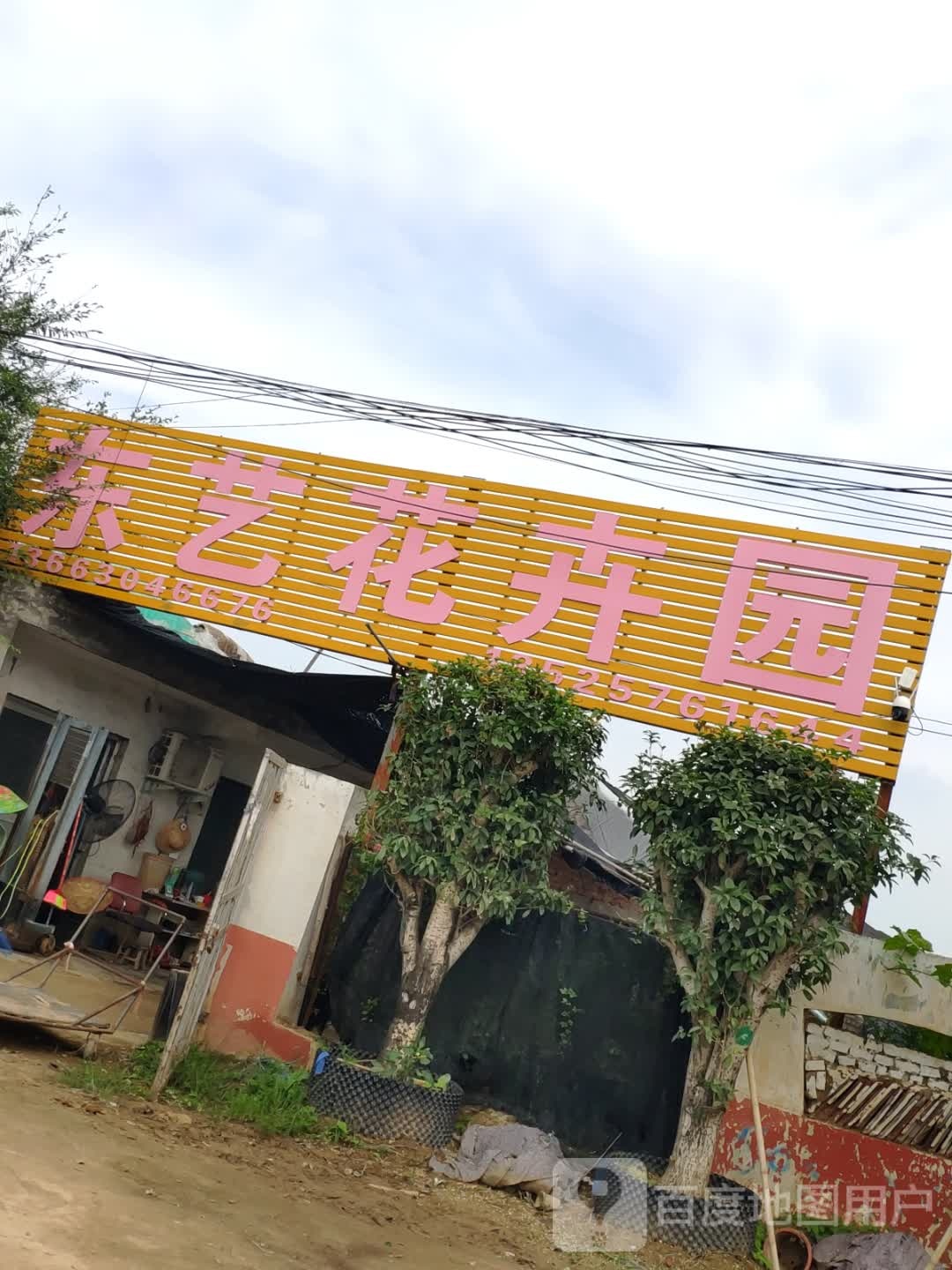 商水县东艺花卉园(康庄大道店)