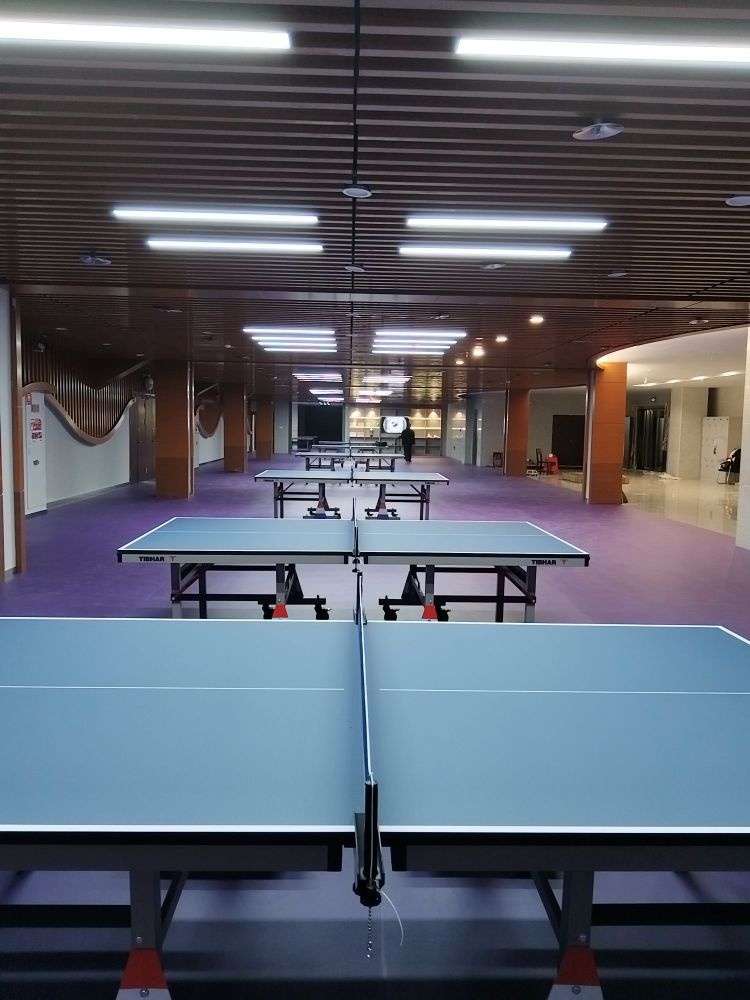 祺玲乒乓球俱乐部