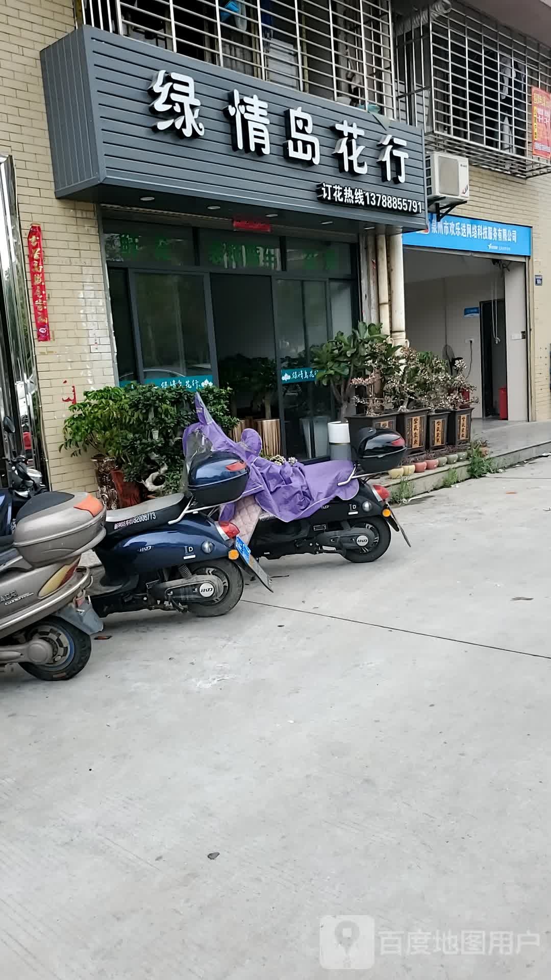 绿情岛花行