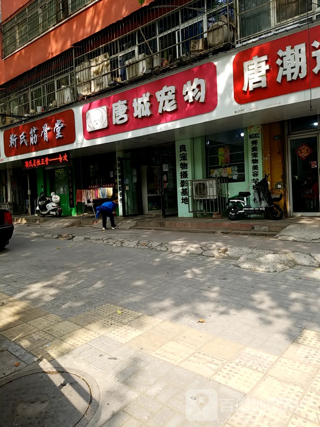 唐城宠物(联盟路店)