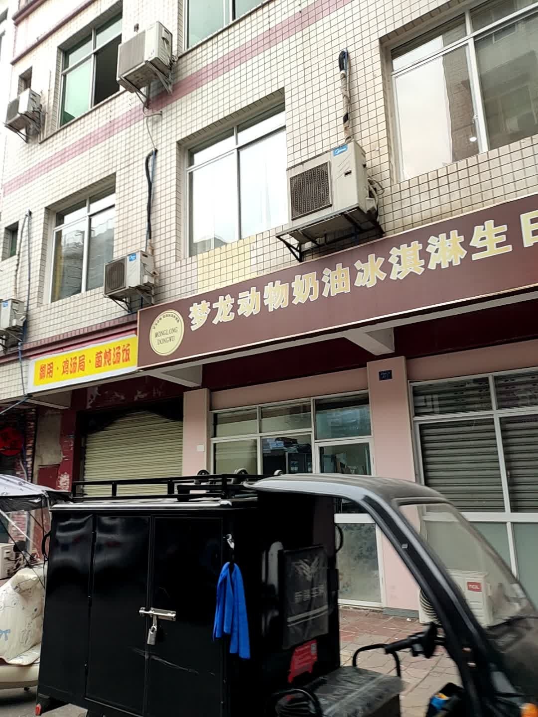梦龙动物奶油冰淇淋生日蛋糕(体苑路店)