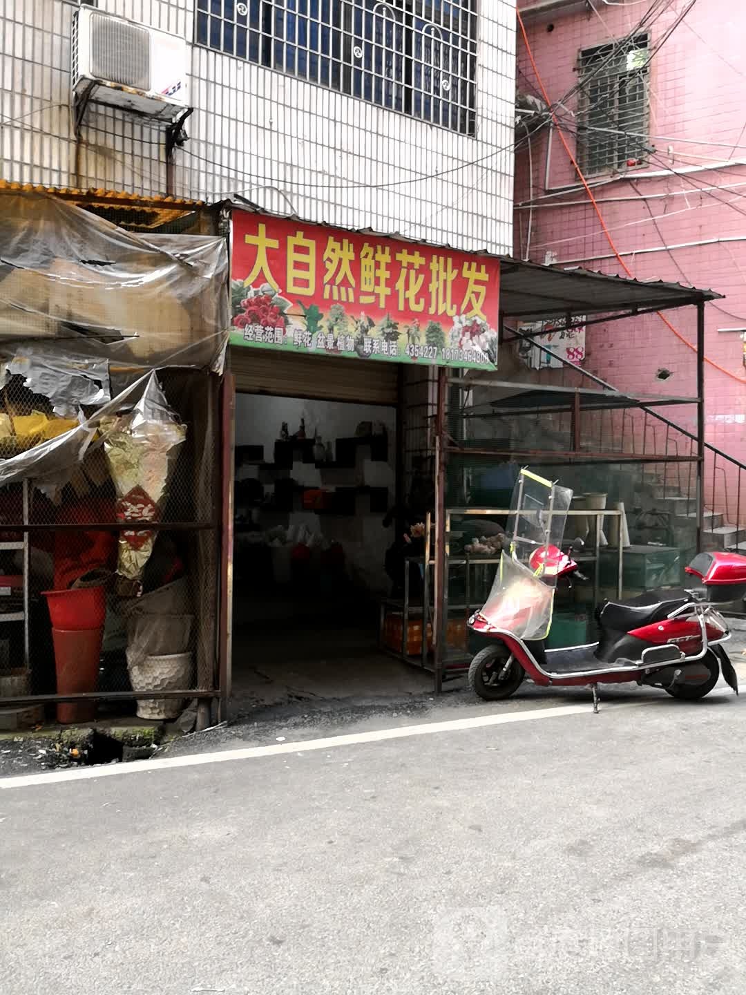 大自然鲜花批发