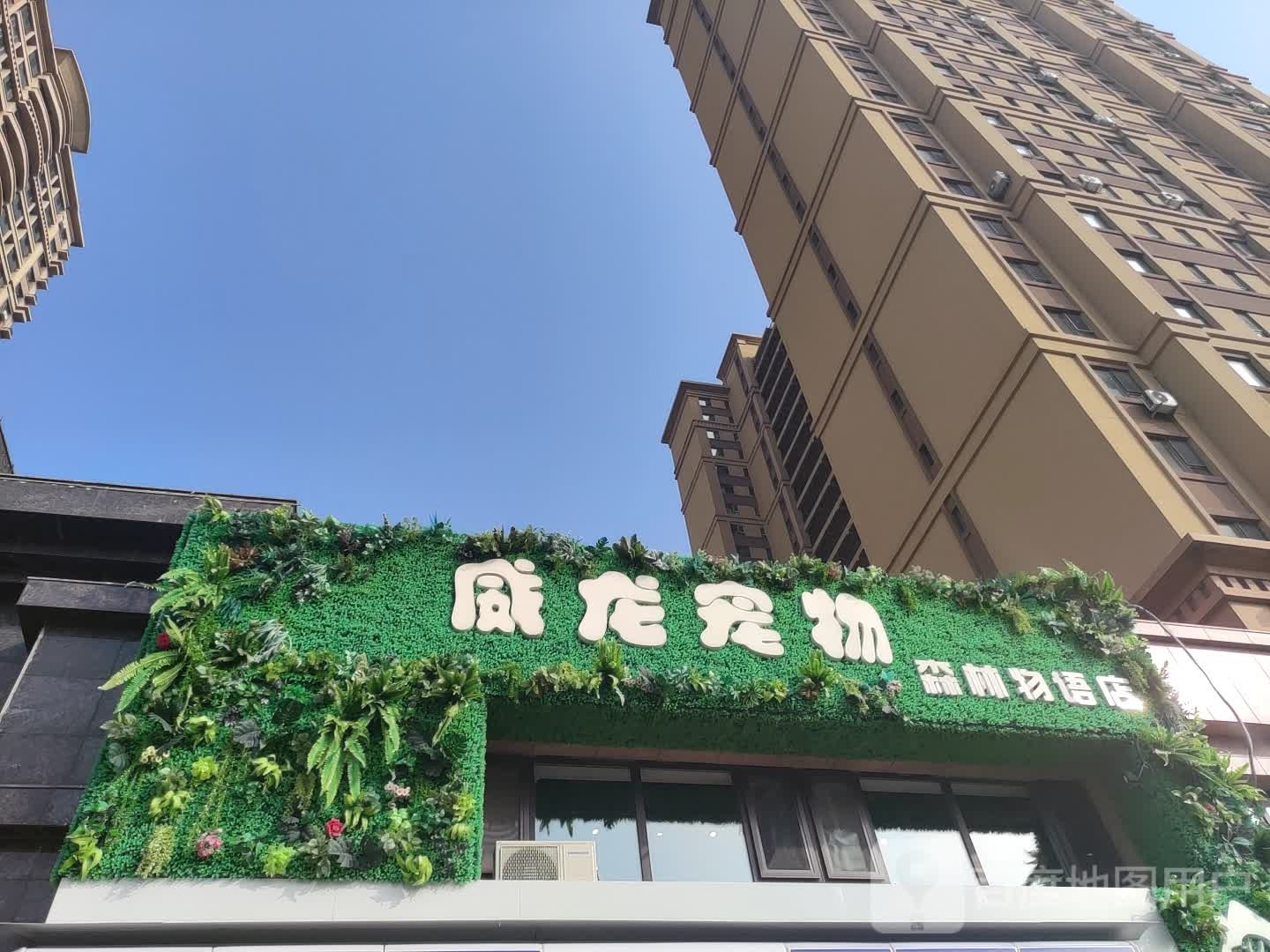 威龙宠物森林物语店