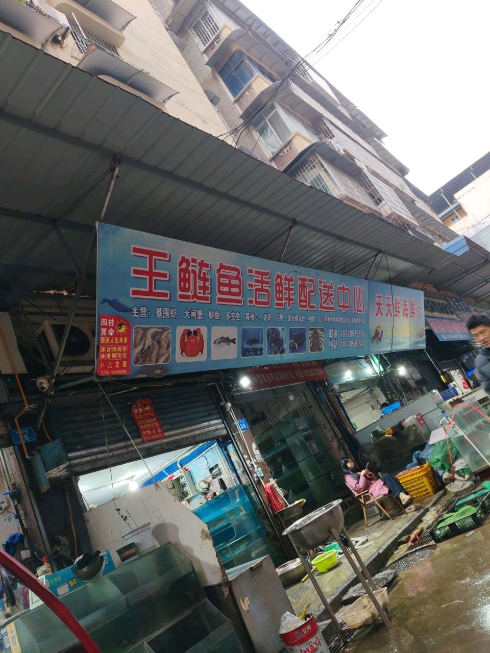 天天鲜海鲜行(铁货街店)