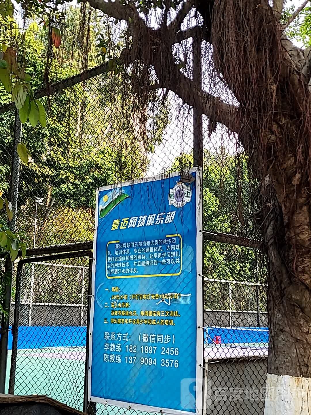 豪迈网球俱乐部(名雅花园东门教学点)
