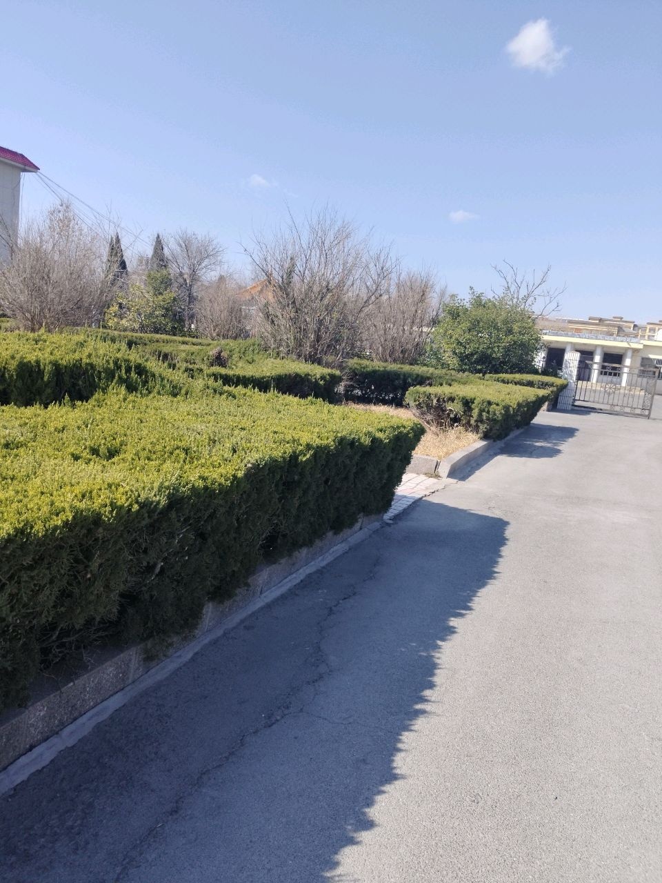 钻井二公司公园