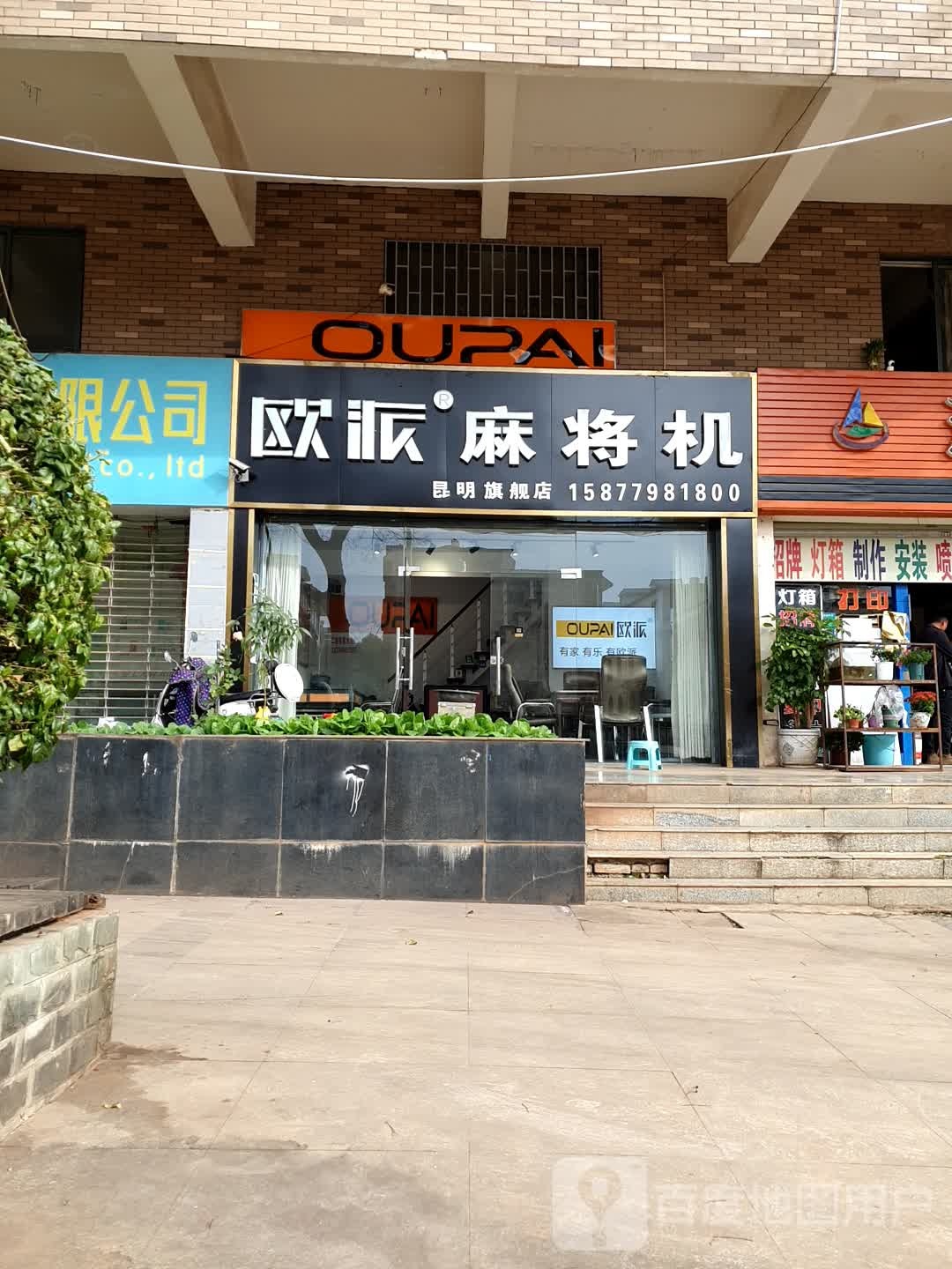 欧派大麻将机(昆明旗舰店)