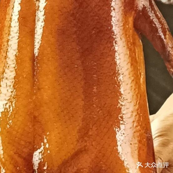 新鞍上雅