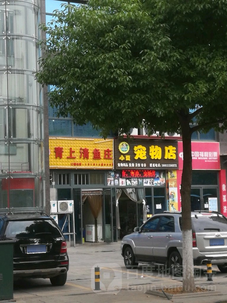 小夏宠物店(港湾国际店)