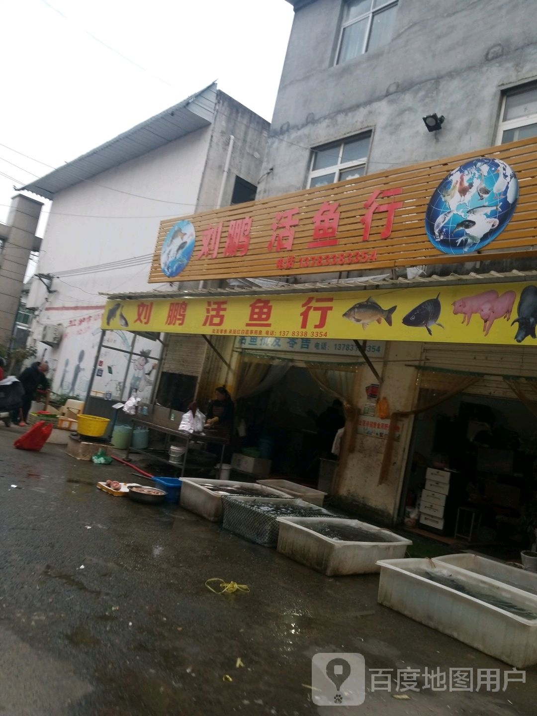 刘鹏活鱼行