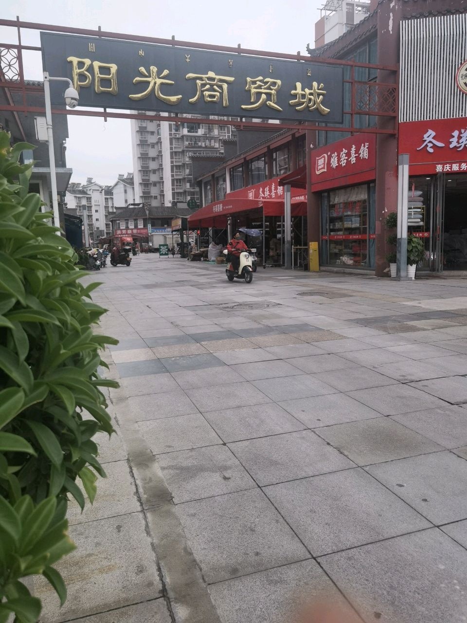 四川金楼