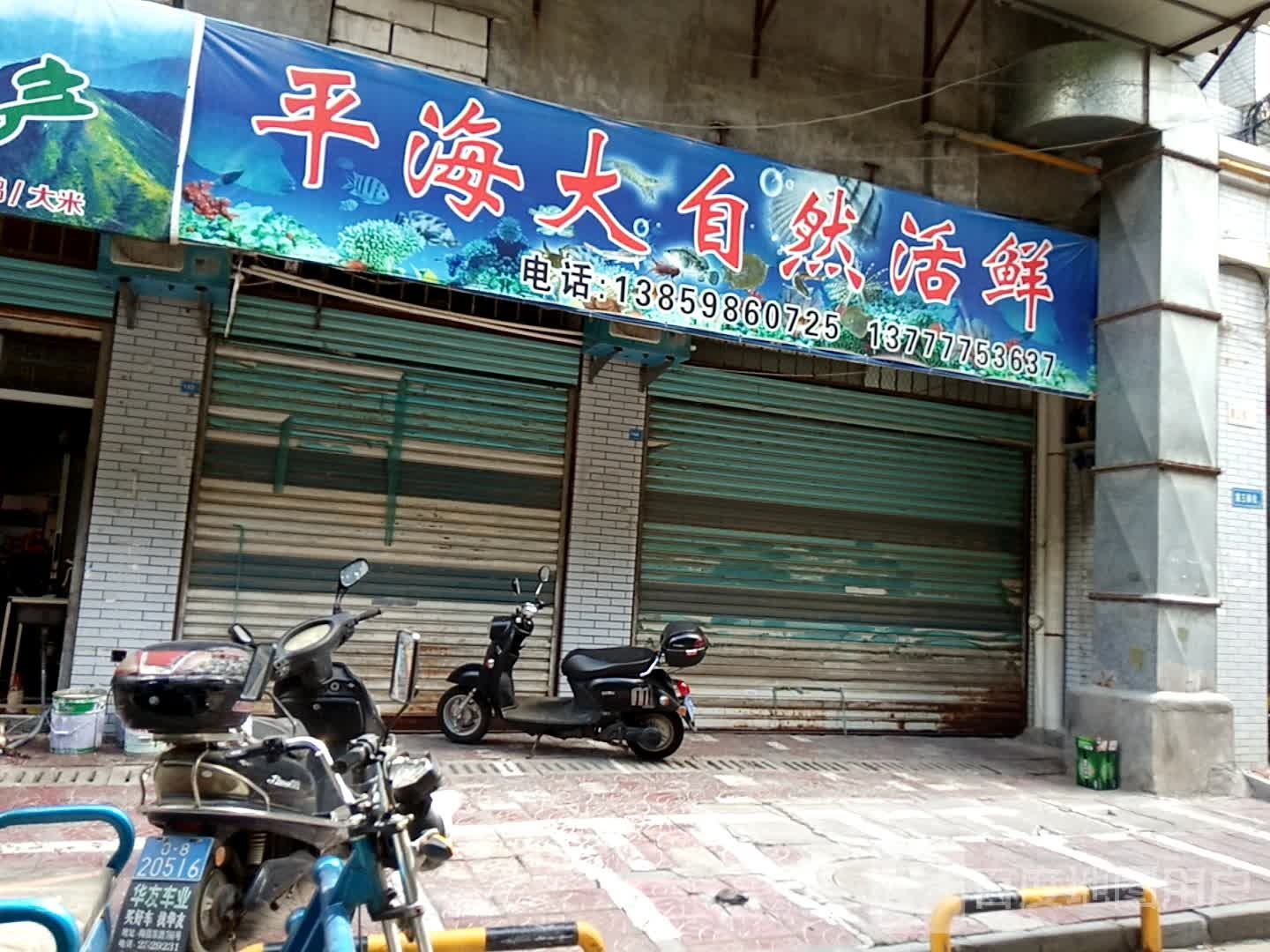 平海自然然活鲜