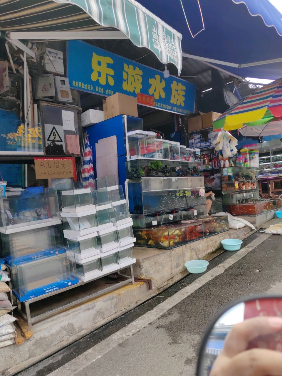 乐游水族(广西花鸟交易市场店)