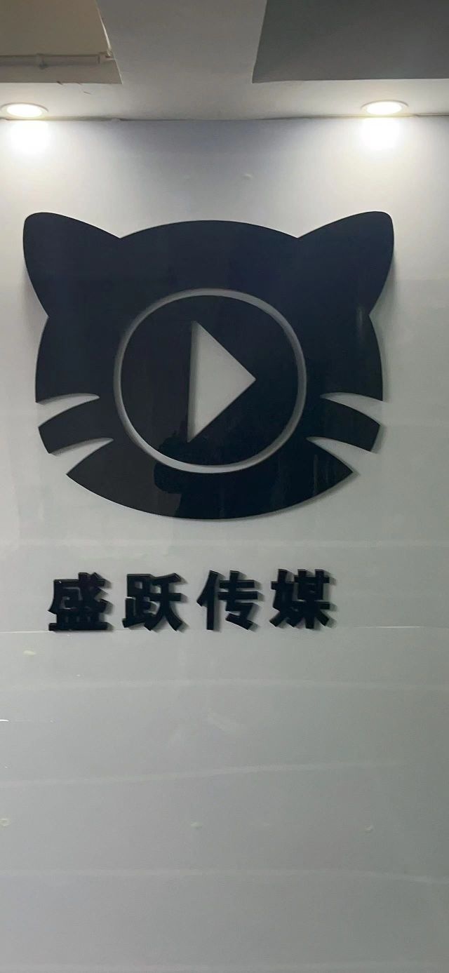 湘西盛跃文化传媒有限公司