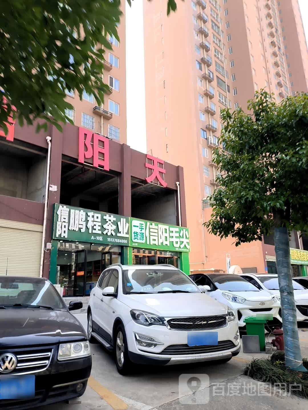 信阳毛尖(金山路店)