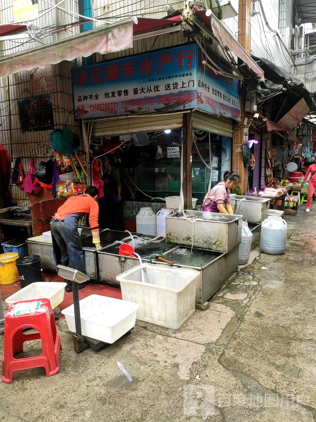 徐记源丰水产行