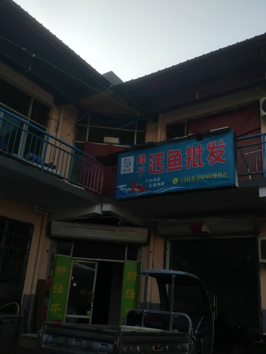 峰子活鱼批发