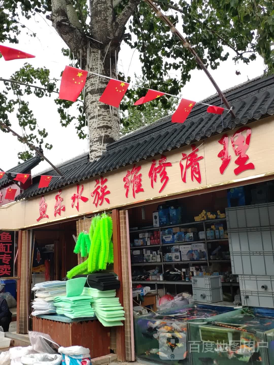 鱼乐水族(二环西路店)