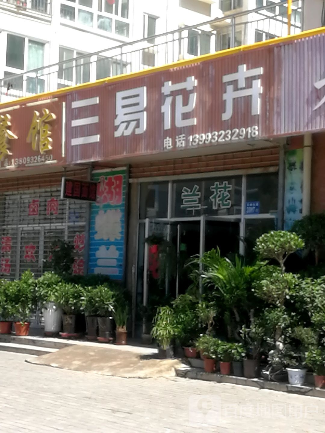 三易花卉临洮总店