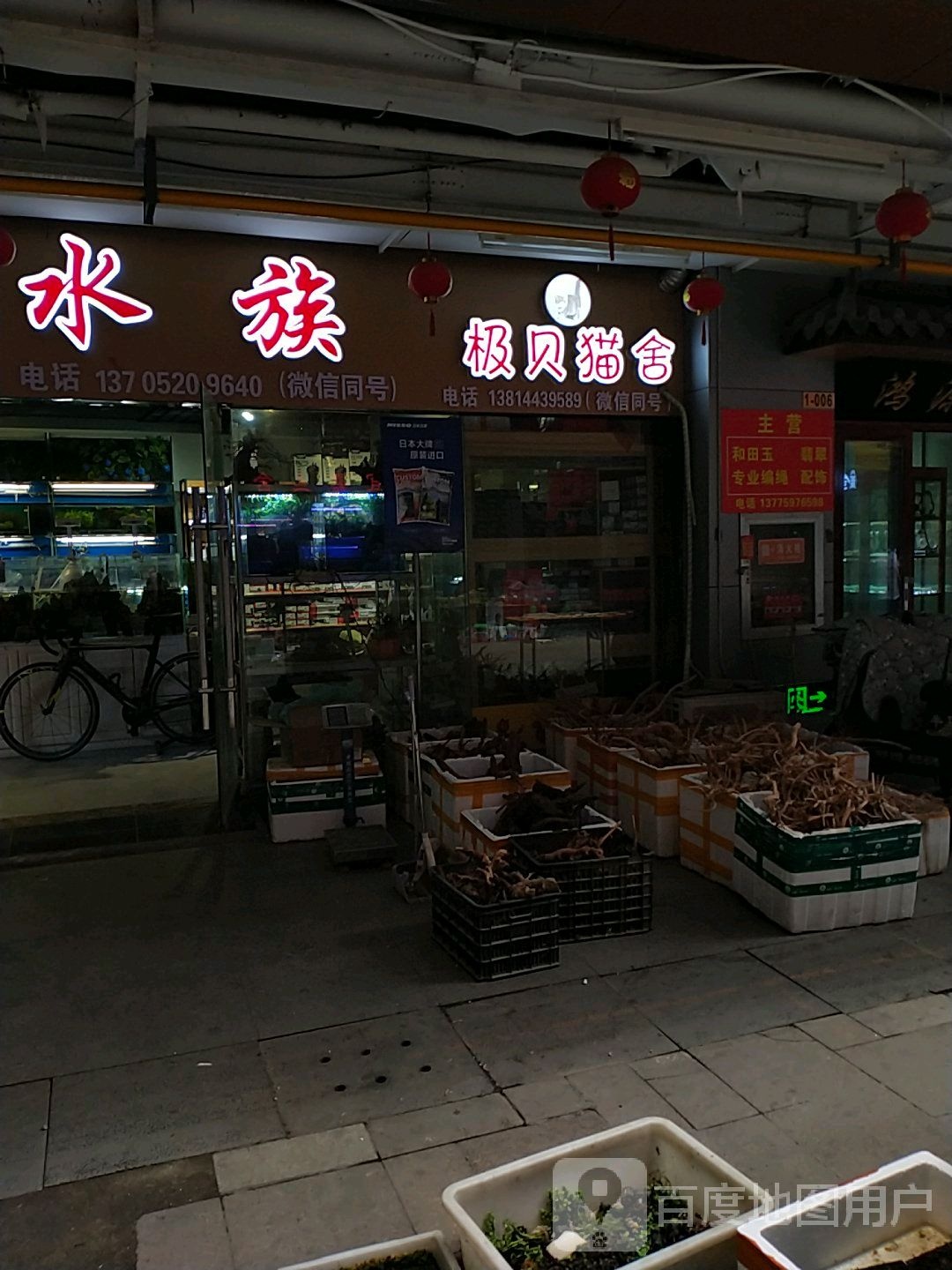 森森四族(和信店)