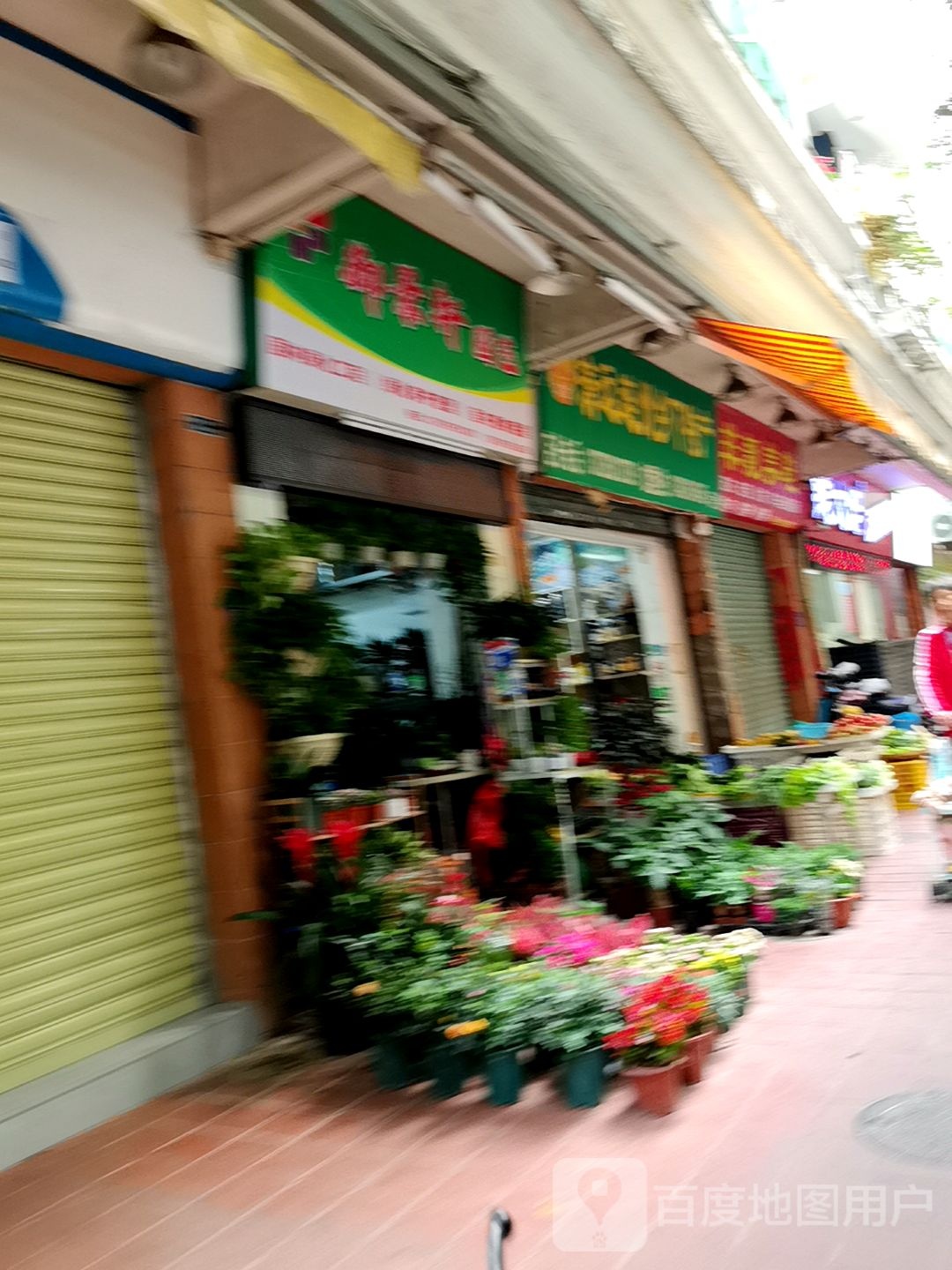 天天水果店(玫瑰园店)
