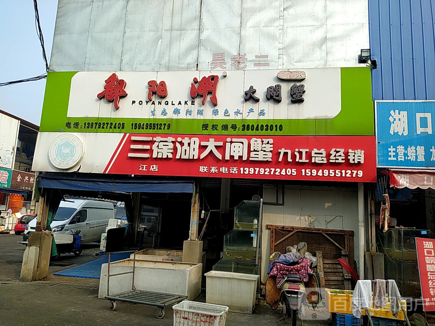 湖口螃蟹经销
