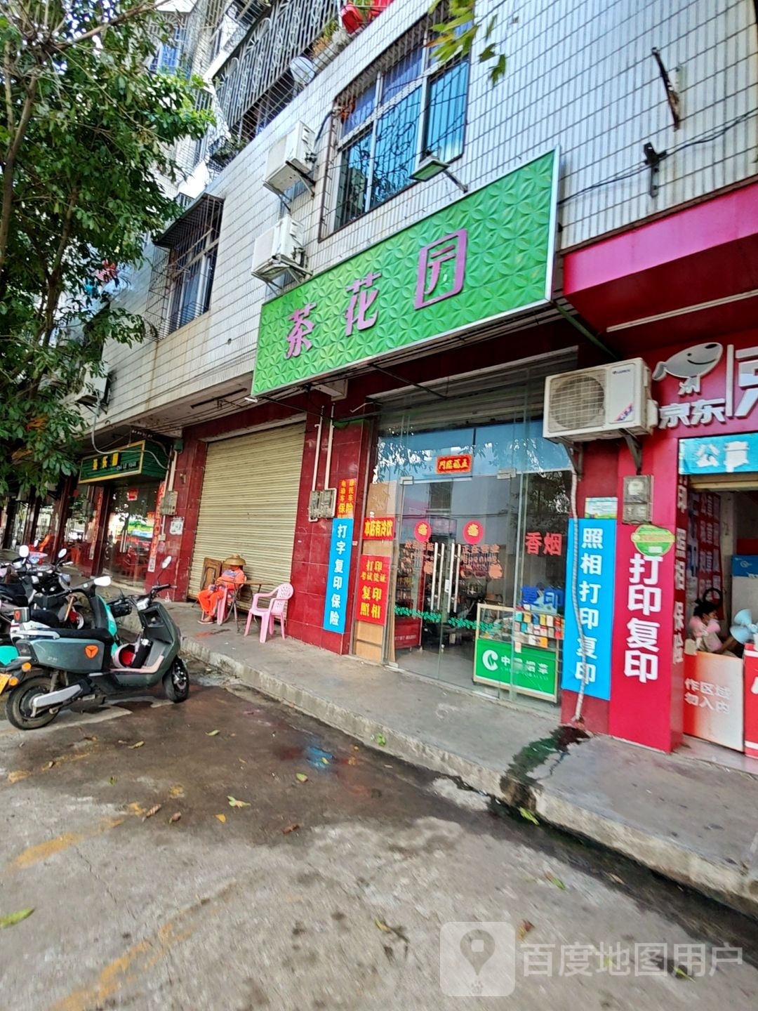 茶花园