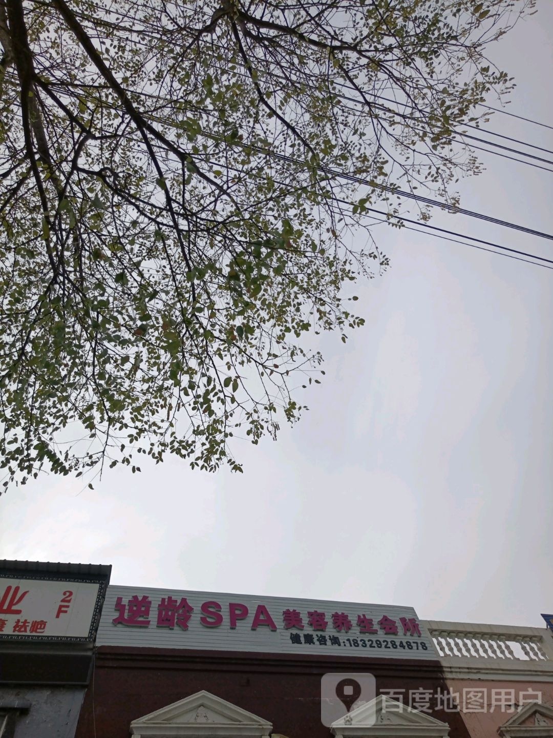 逆龄SPA美容养生会所