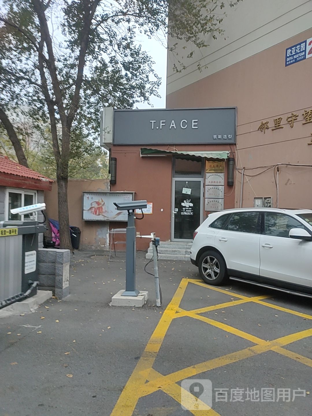 翡丝造型