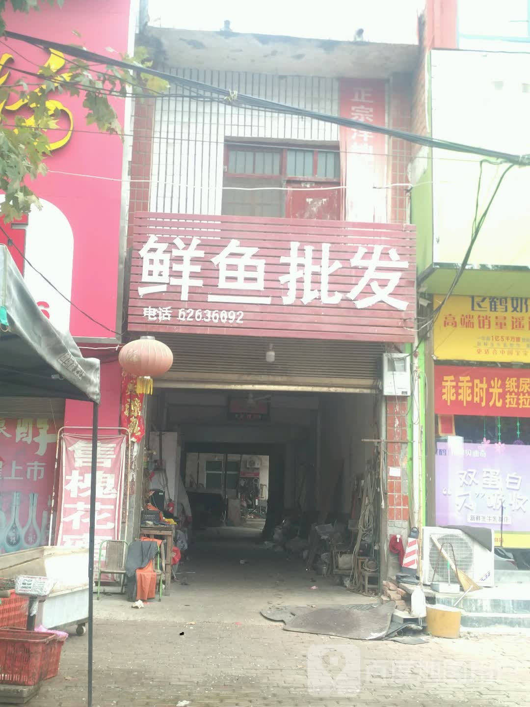 邓州市构林镇鲜鱼批发