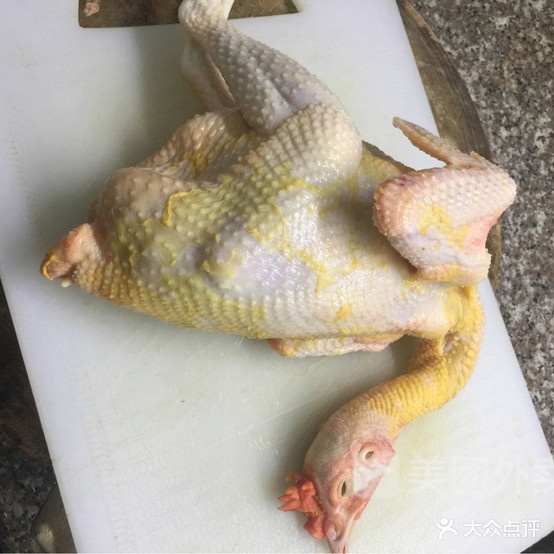 龙岩客家土鸡鸭(宝洲街店)