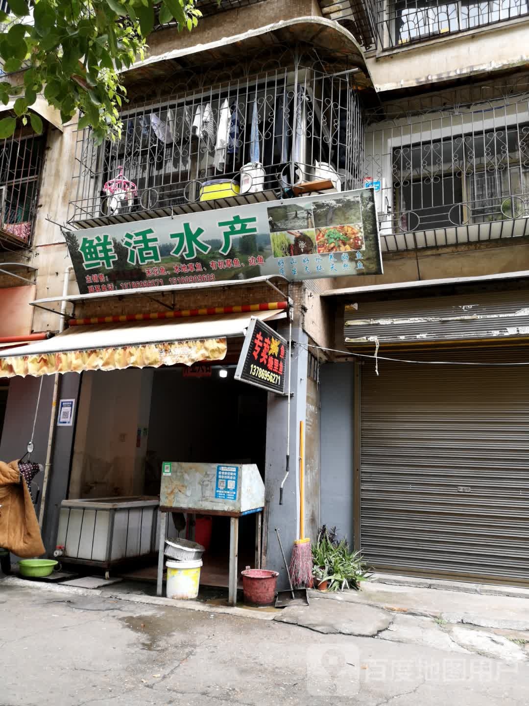鲜活水产(百春园店)