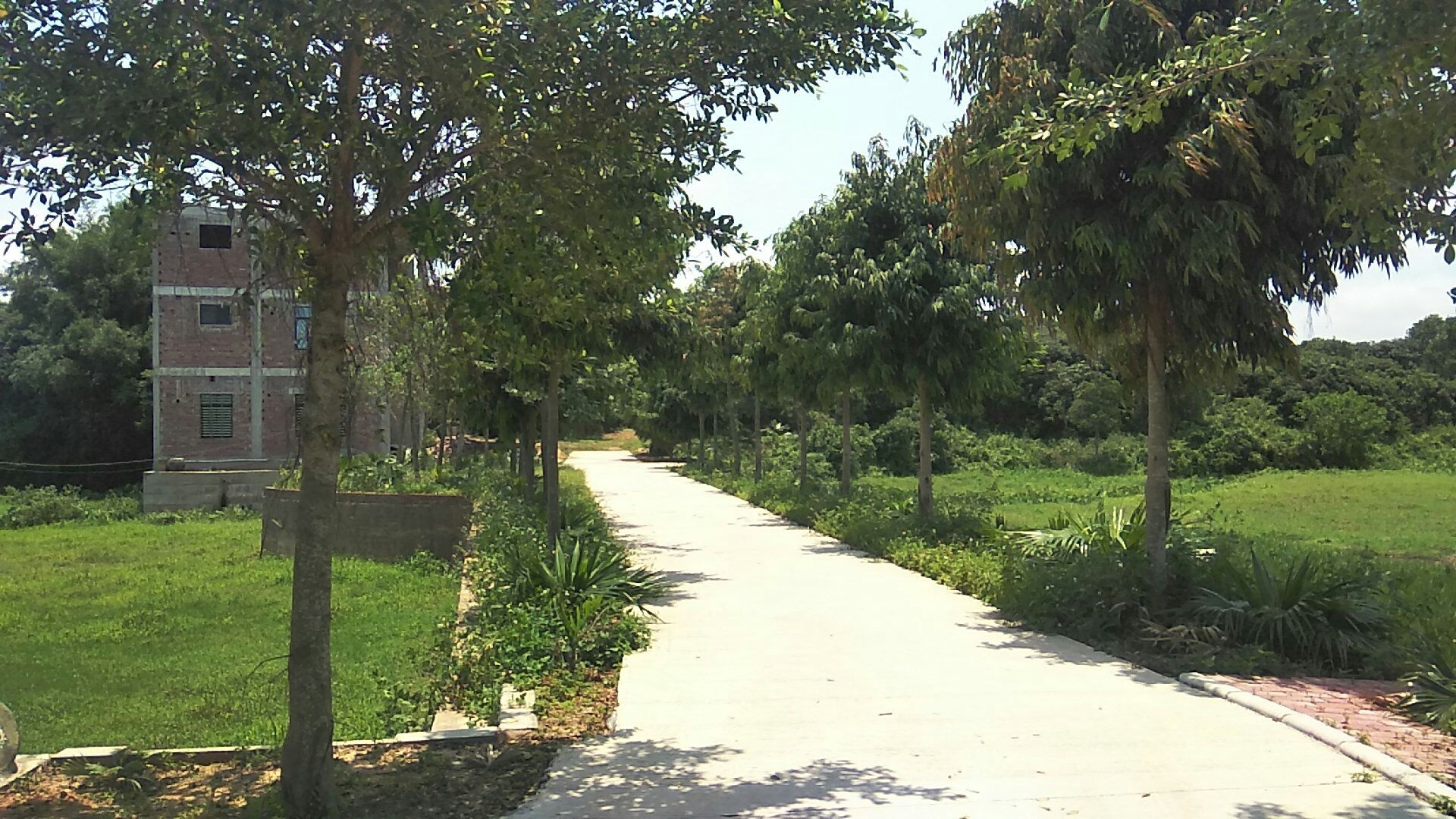 下盐仓村爱心公园