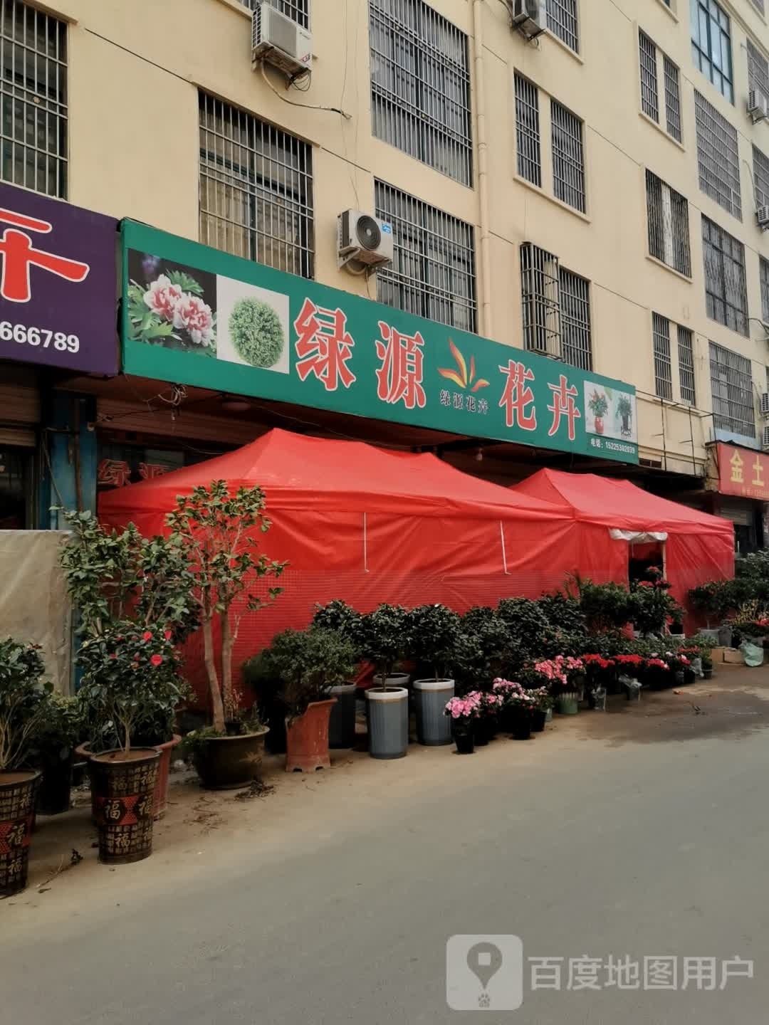 固始县绿源花卉(红苏大道店)