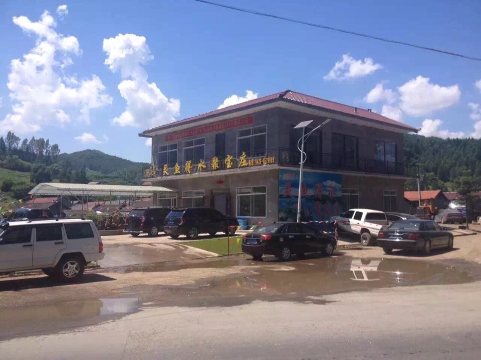 灵鱼得水聚宝庄